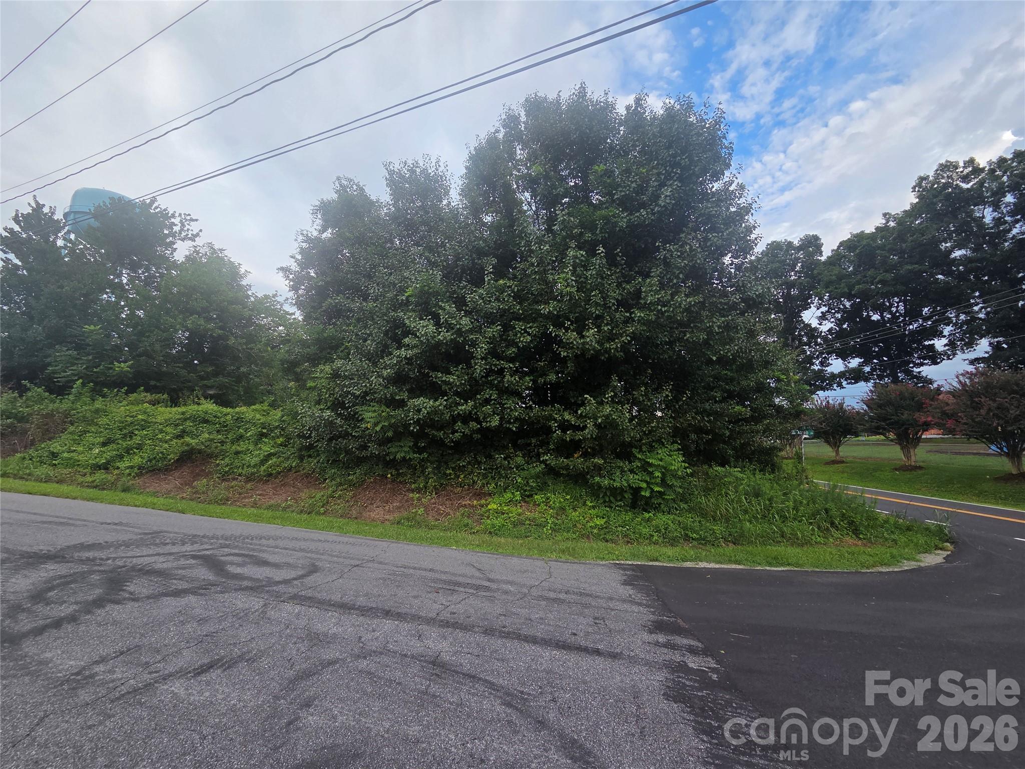0 Salem Road Property Photo 5