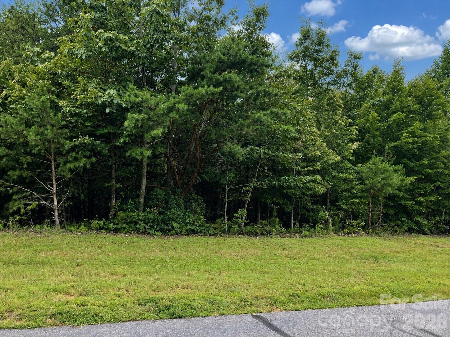 1211 Mountain Vista Drive Property Photo 7