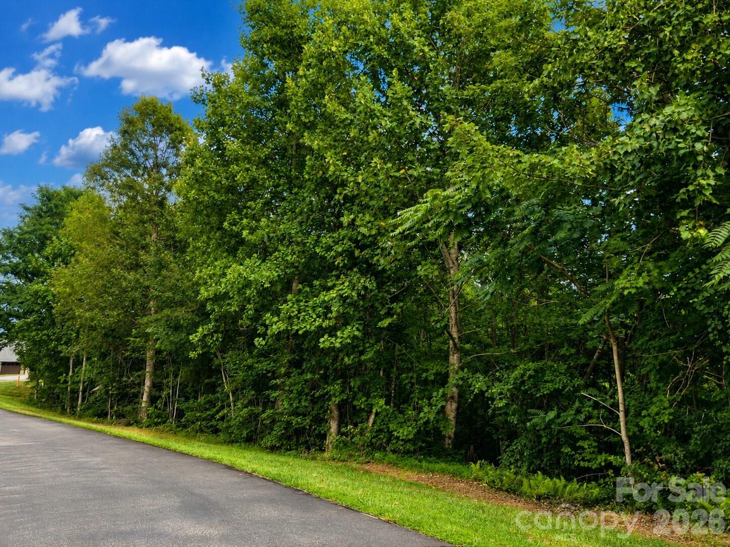 1211 Mountain Vista Drive Property Photo 9