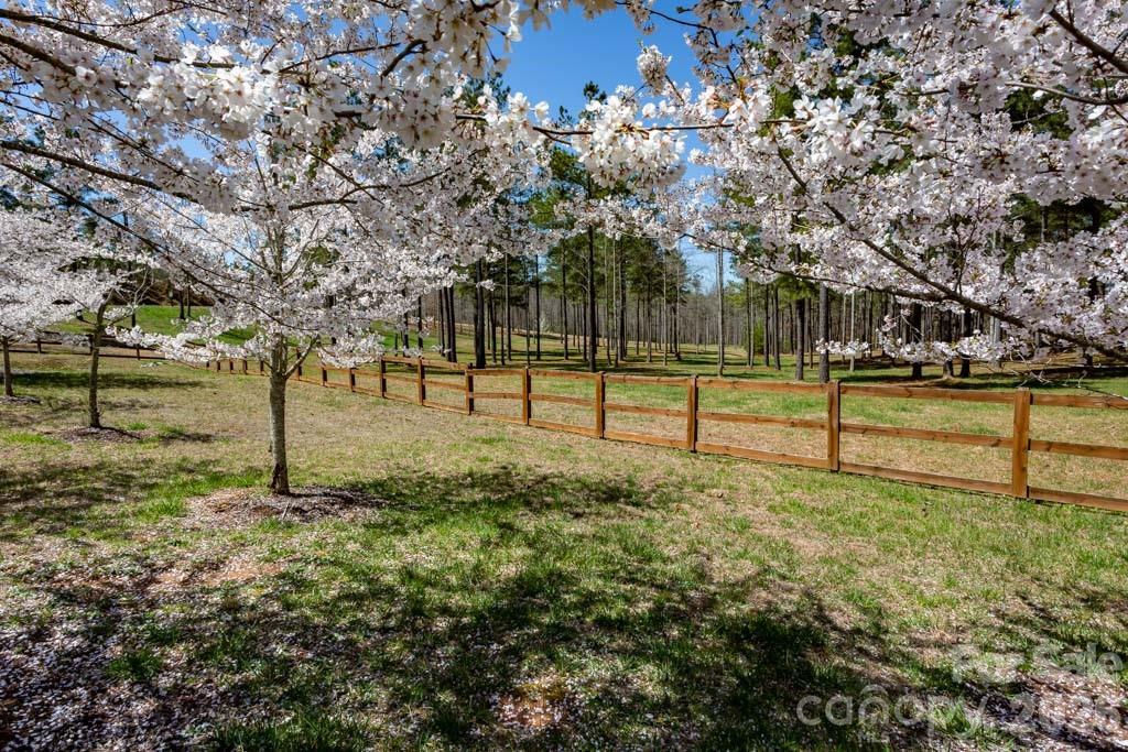 1211 Mountain Vista Drive Property Photo 20