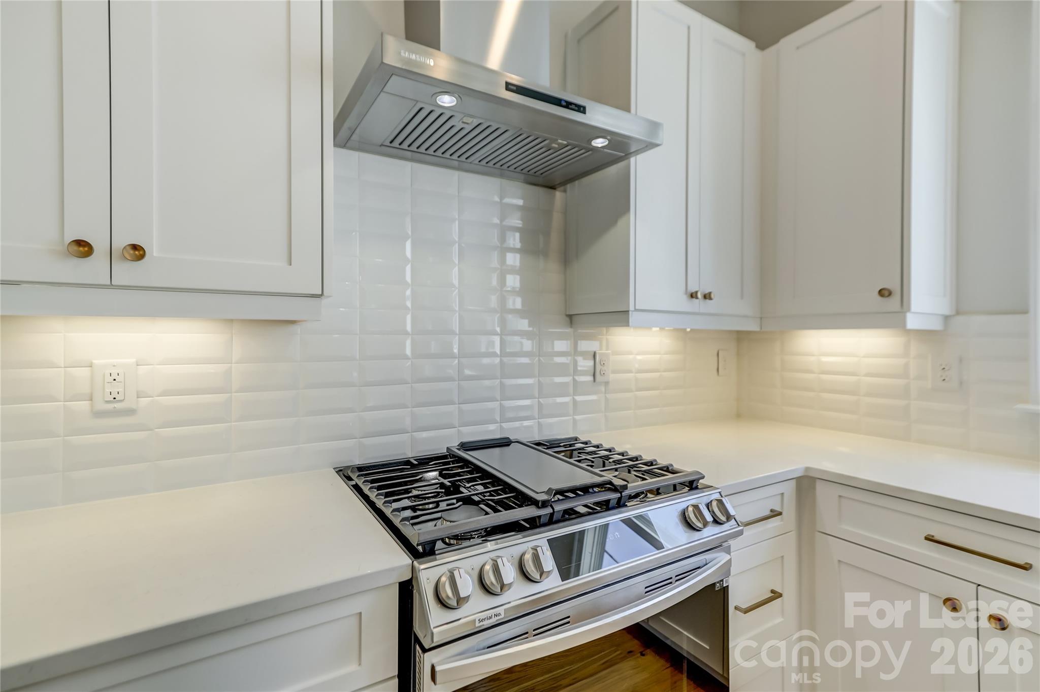 1107 Parkside Greenway Drive Property Photo 15
