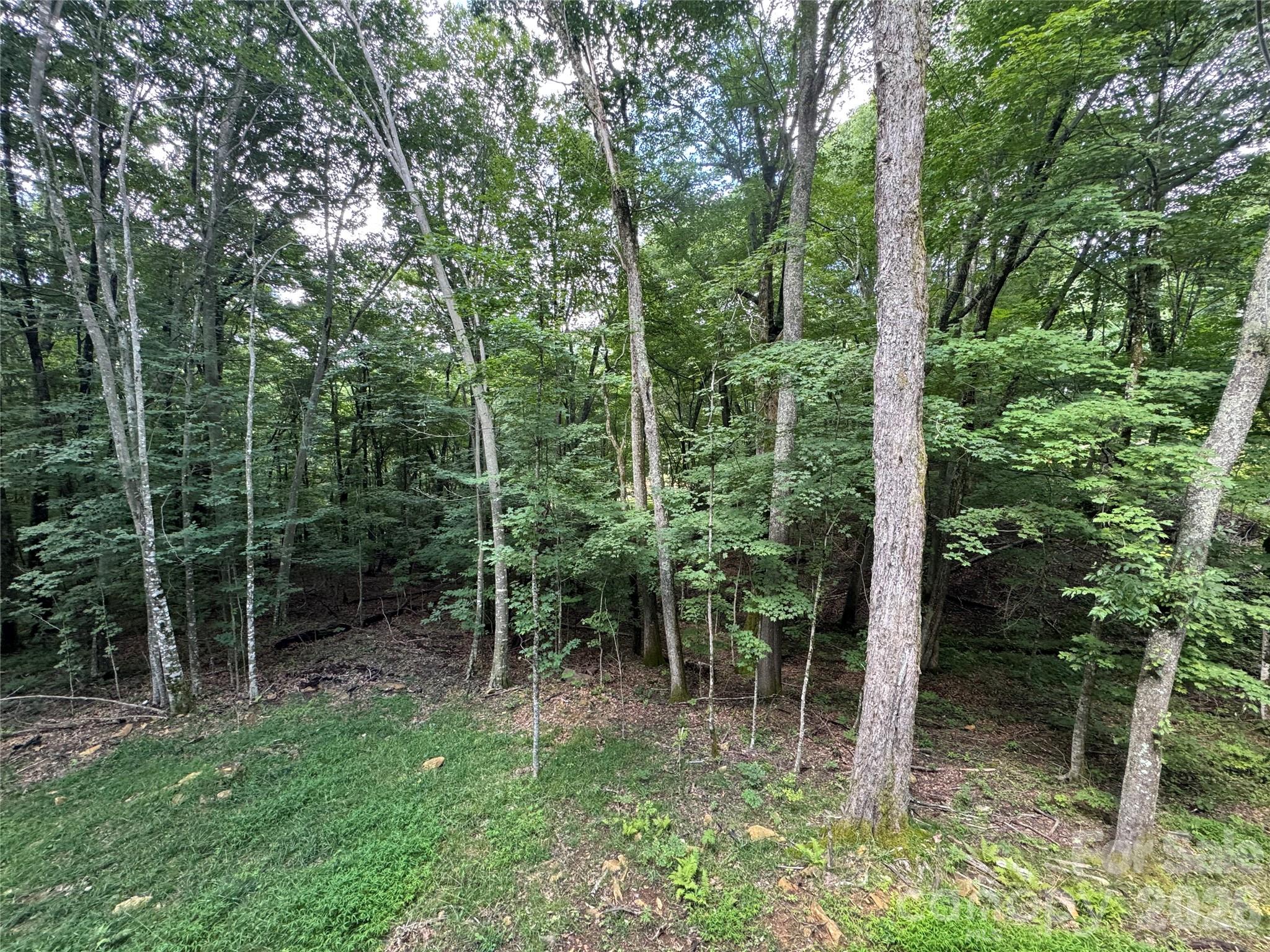 54 Hamlin Lane Property Photo 12