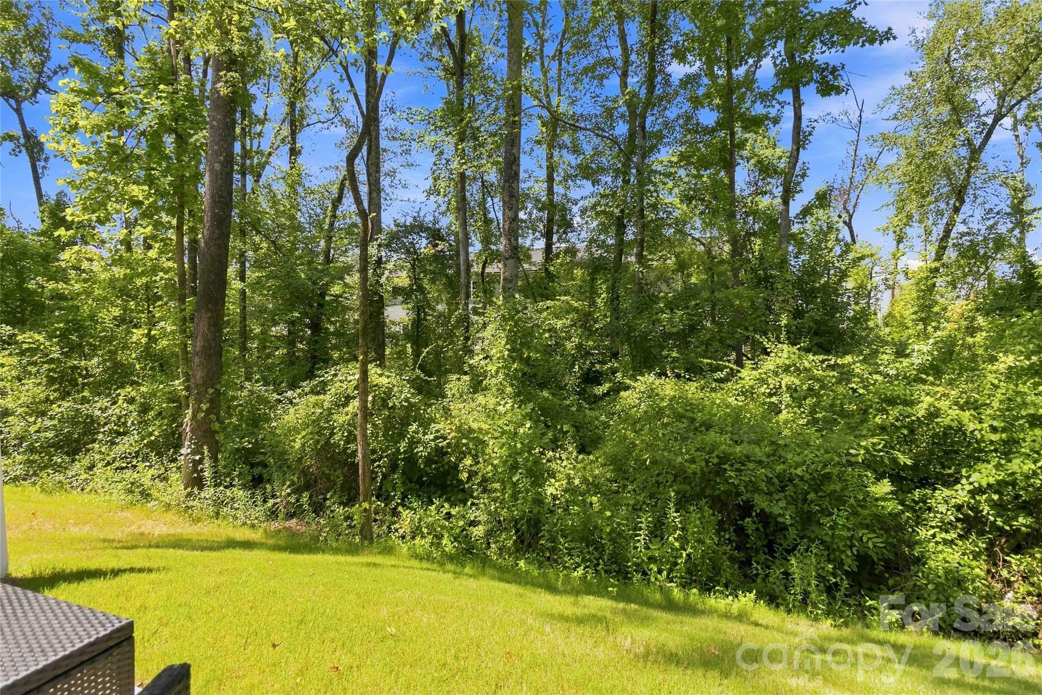 5320 Somerset Hill Lane Property Photo 34