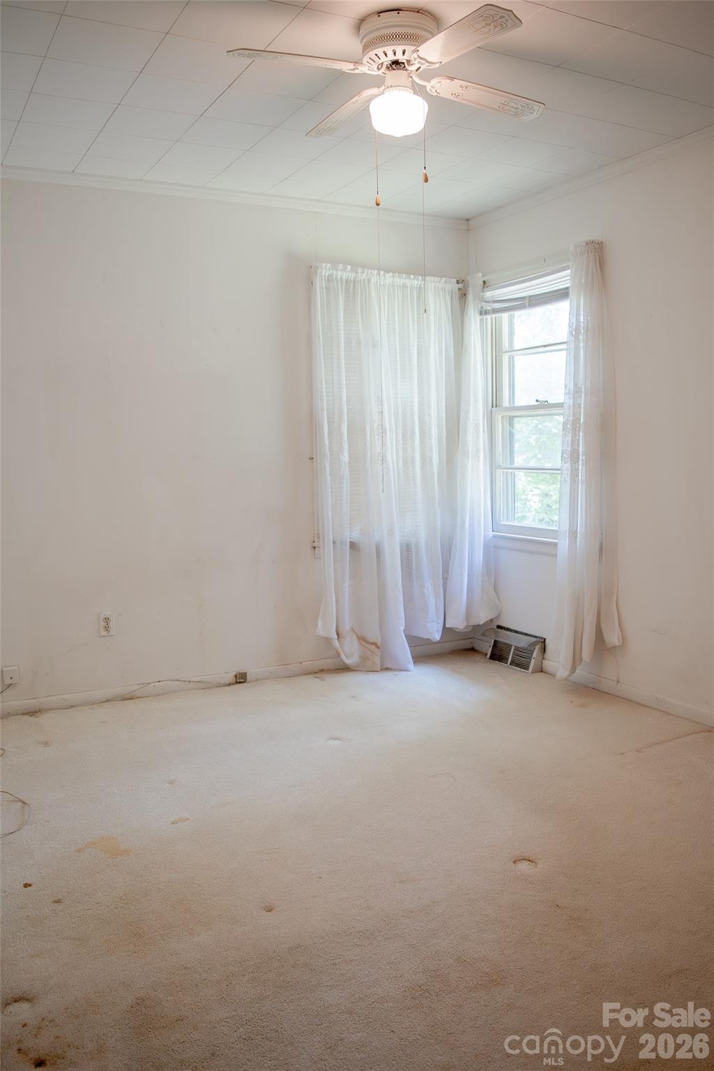 1006 3rd Avenue Property Photo 7