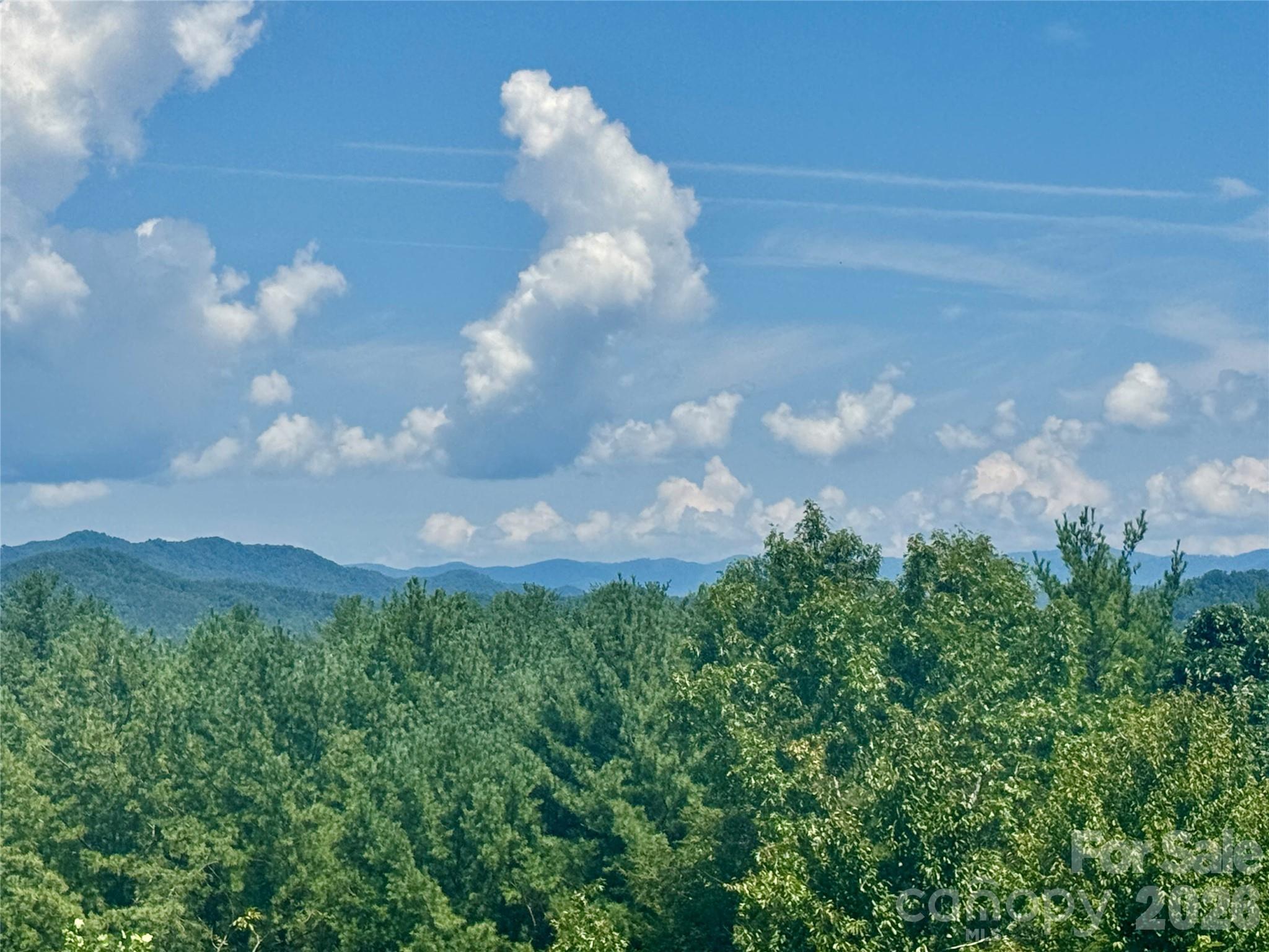 5504 Cedar Cove Way Property Photo 17
