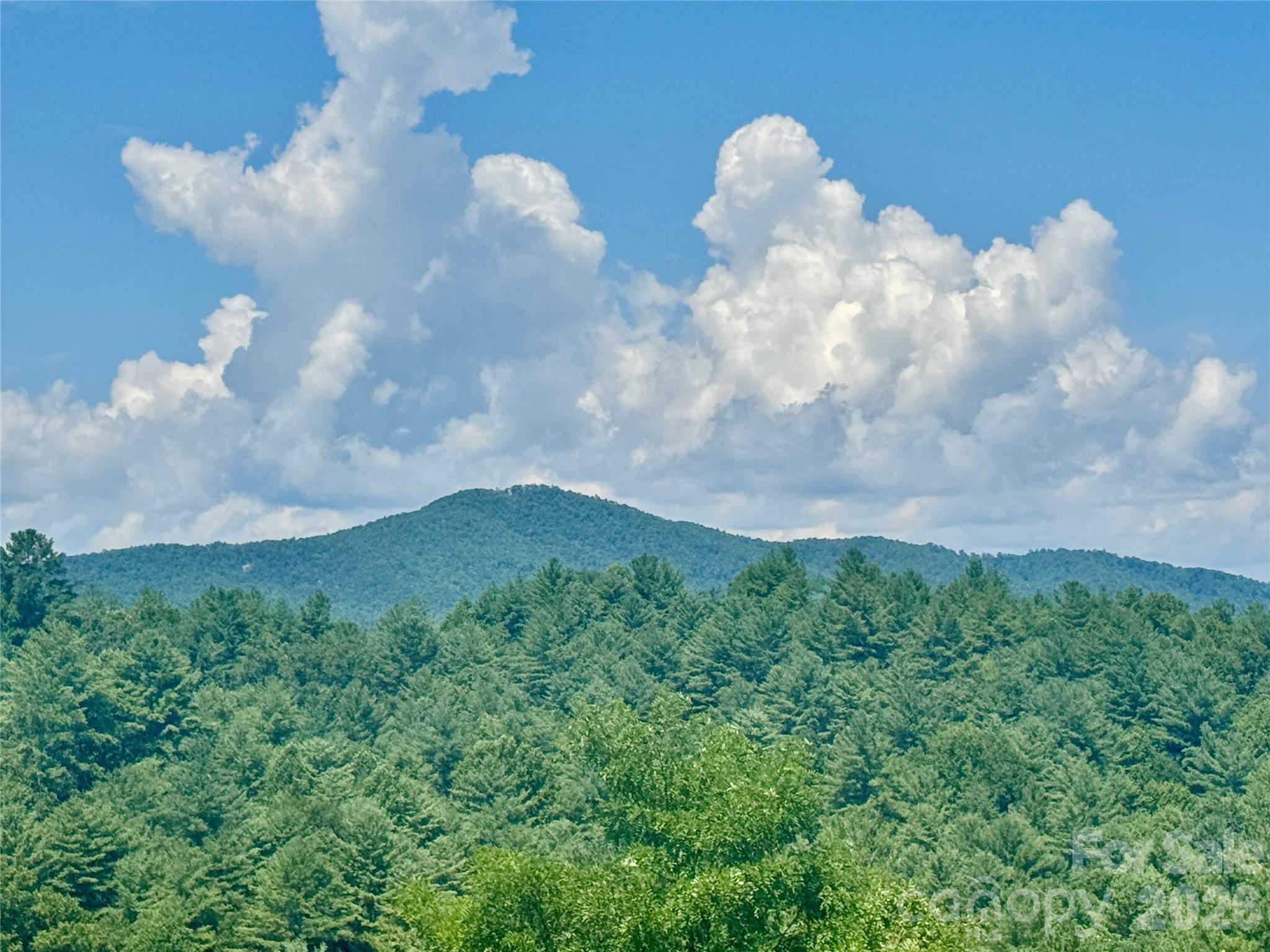 5504 Cedar Cove Way Property Photo 18