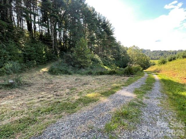 1005 Roberts Branch Road Property Photo 2
