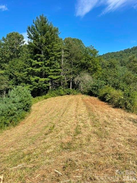 1005 Roberts Branch Road Property Photo 3
