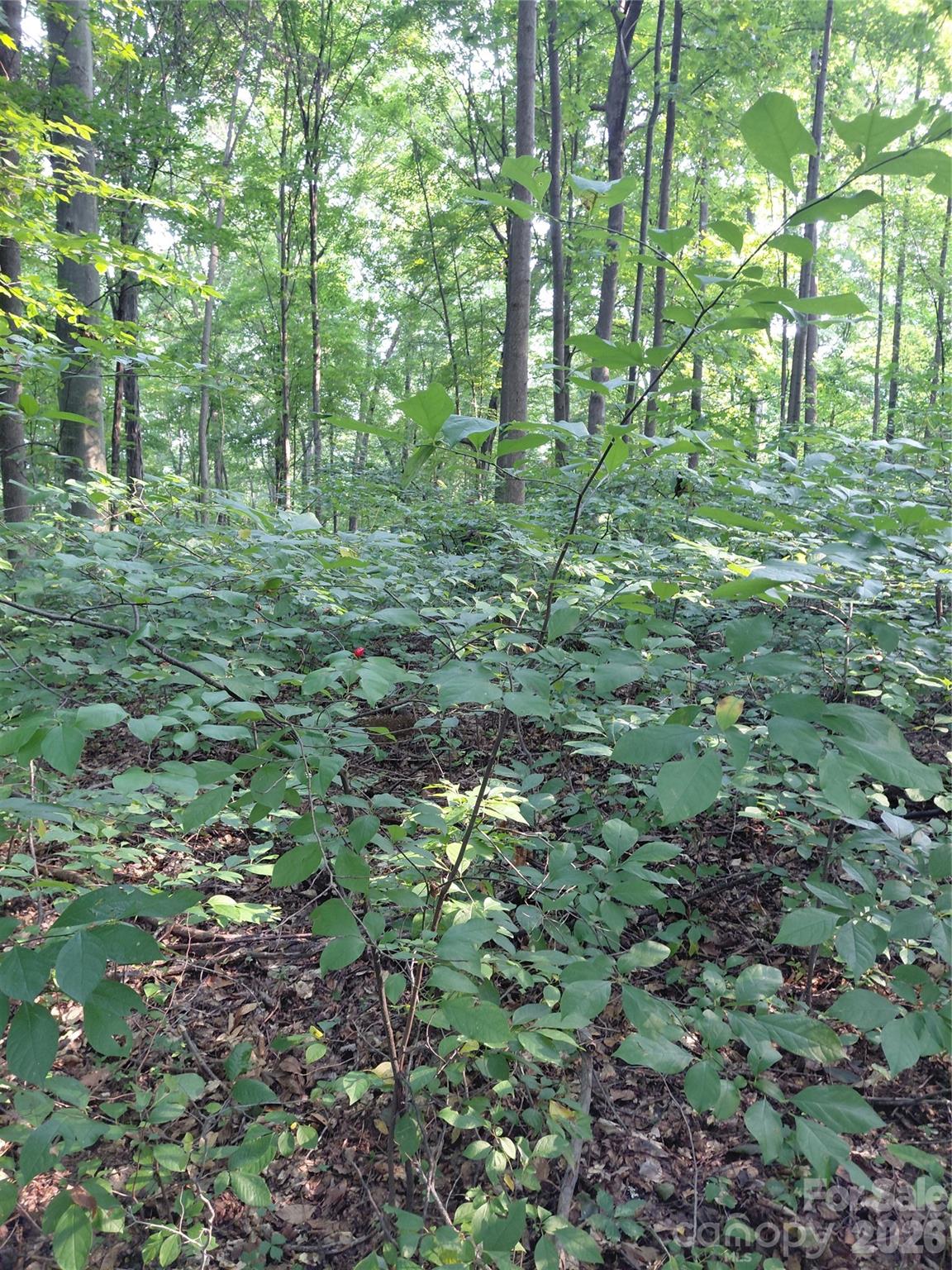 000 Stratton Farm Road Property Photo 2
