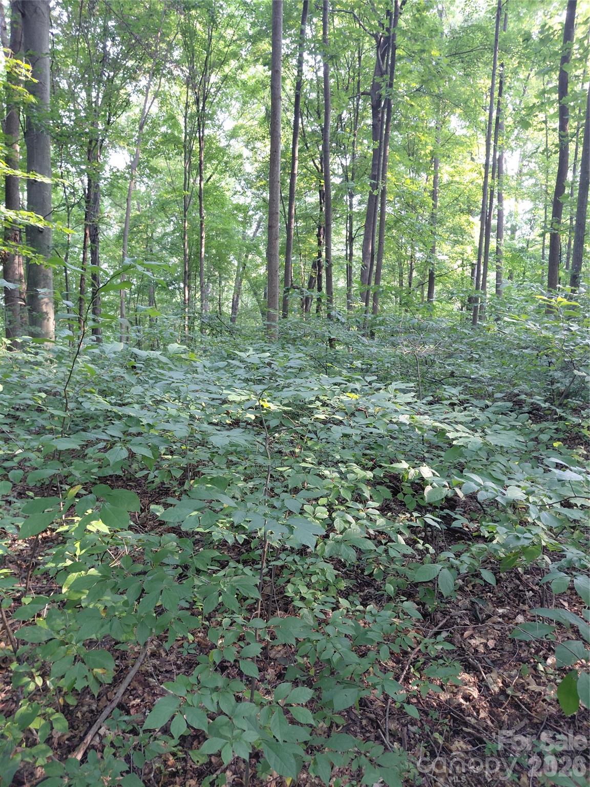 000 Stratton Farm Road Property Photo 3