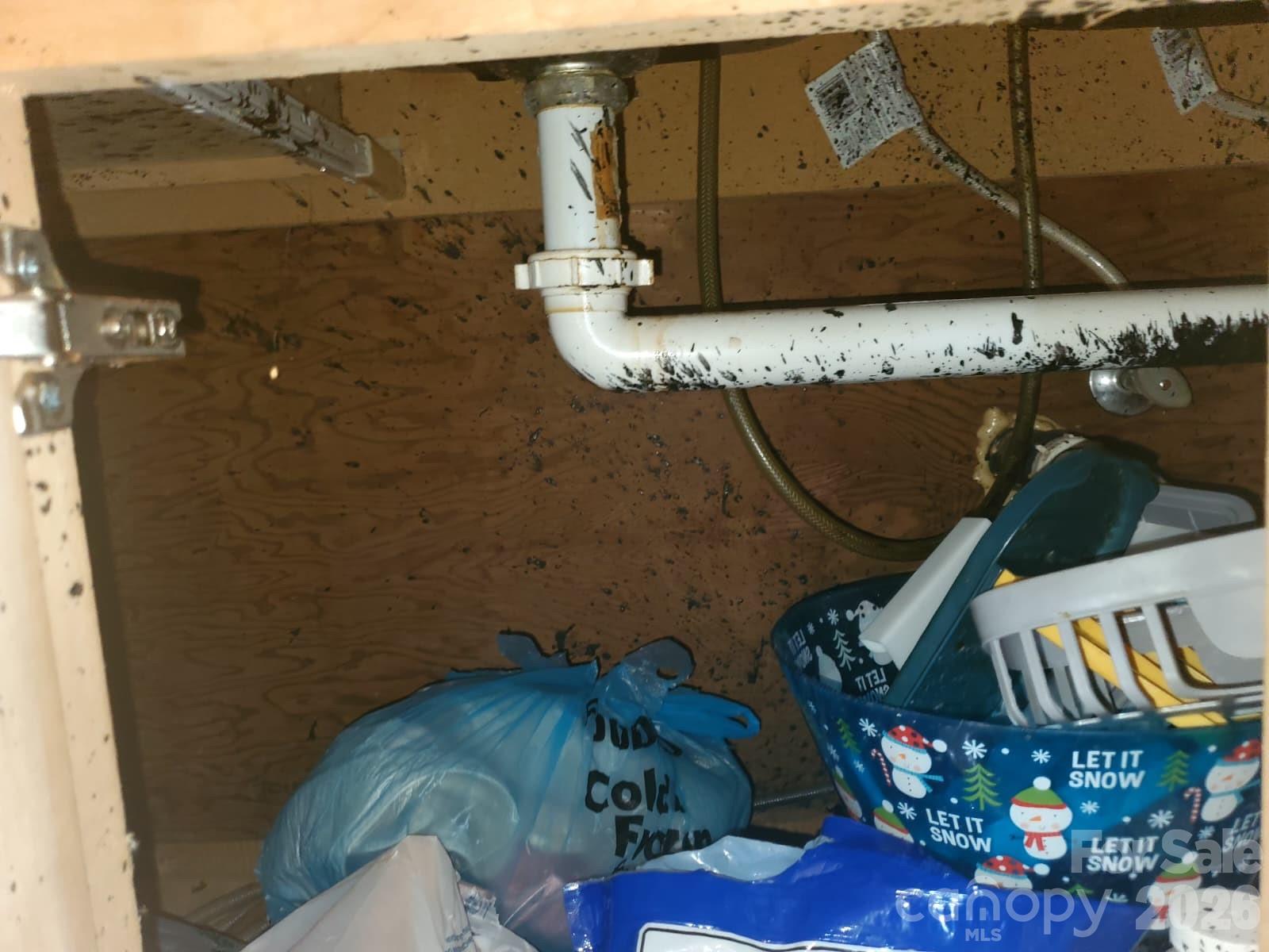 416 Henry Street Property Photo 28
