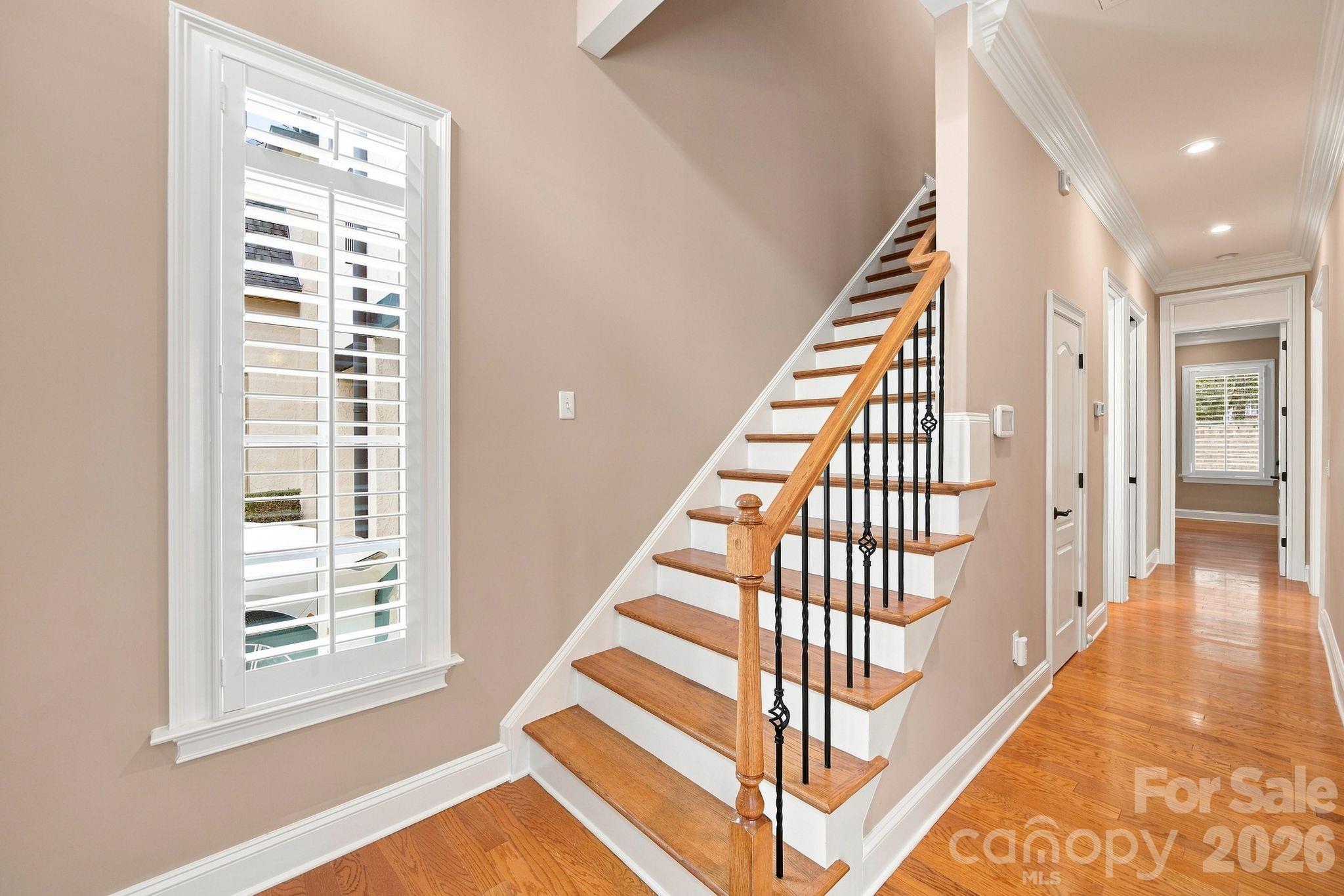 8813 Provence Village Lane Property Photo 3