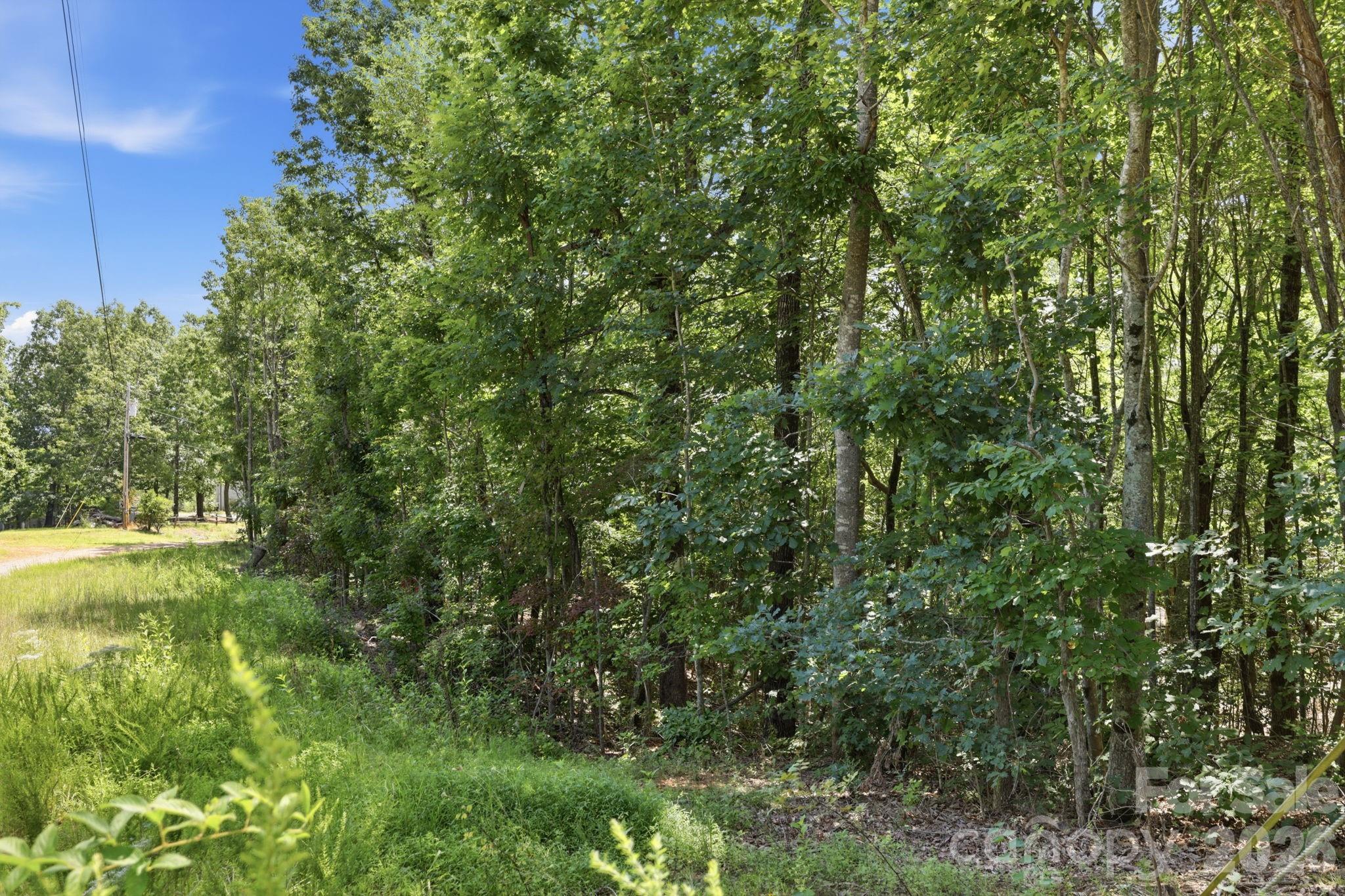 464 Mason Road Property Photo 39