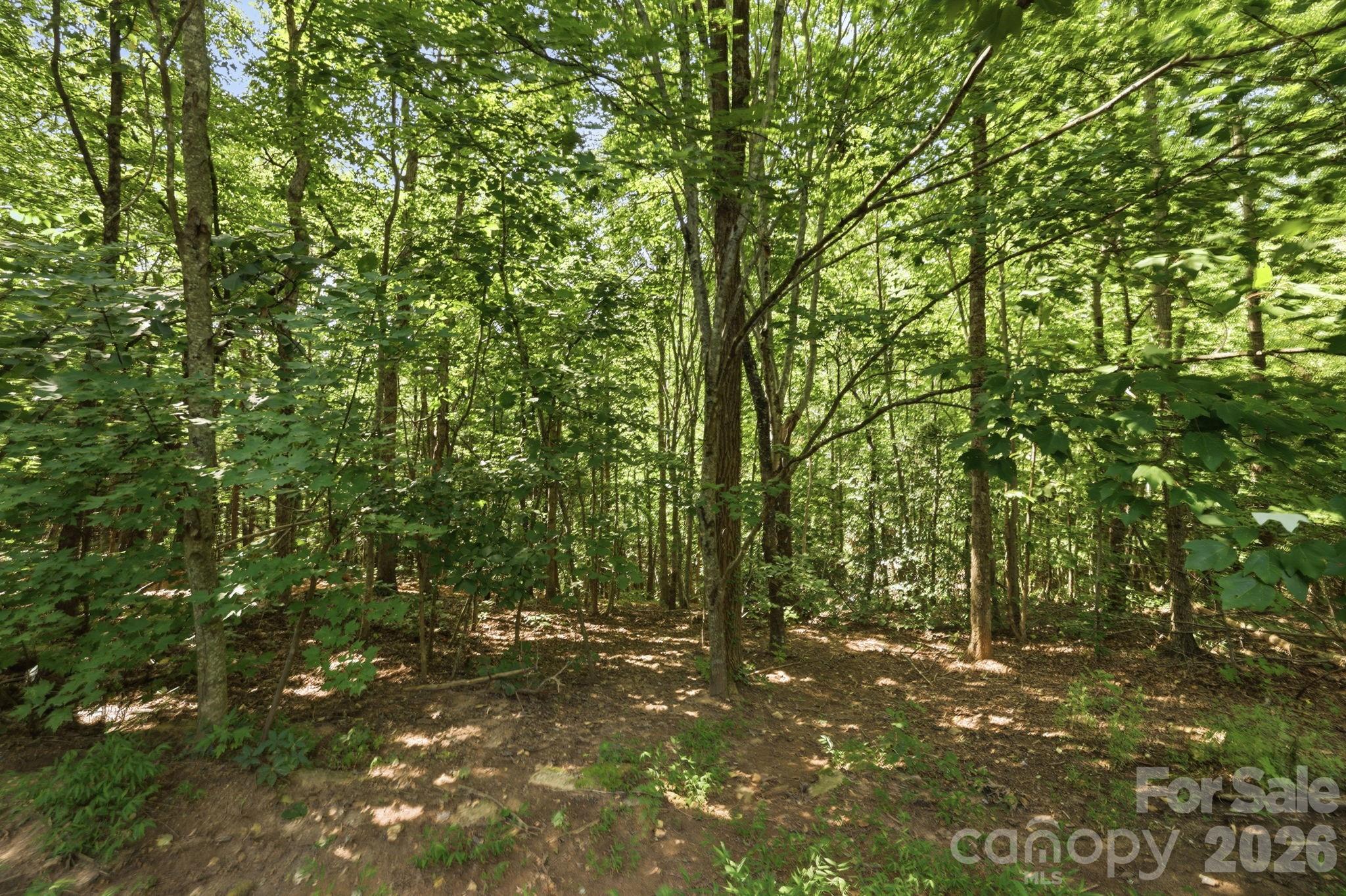 464 Mason Road Property Photo 41