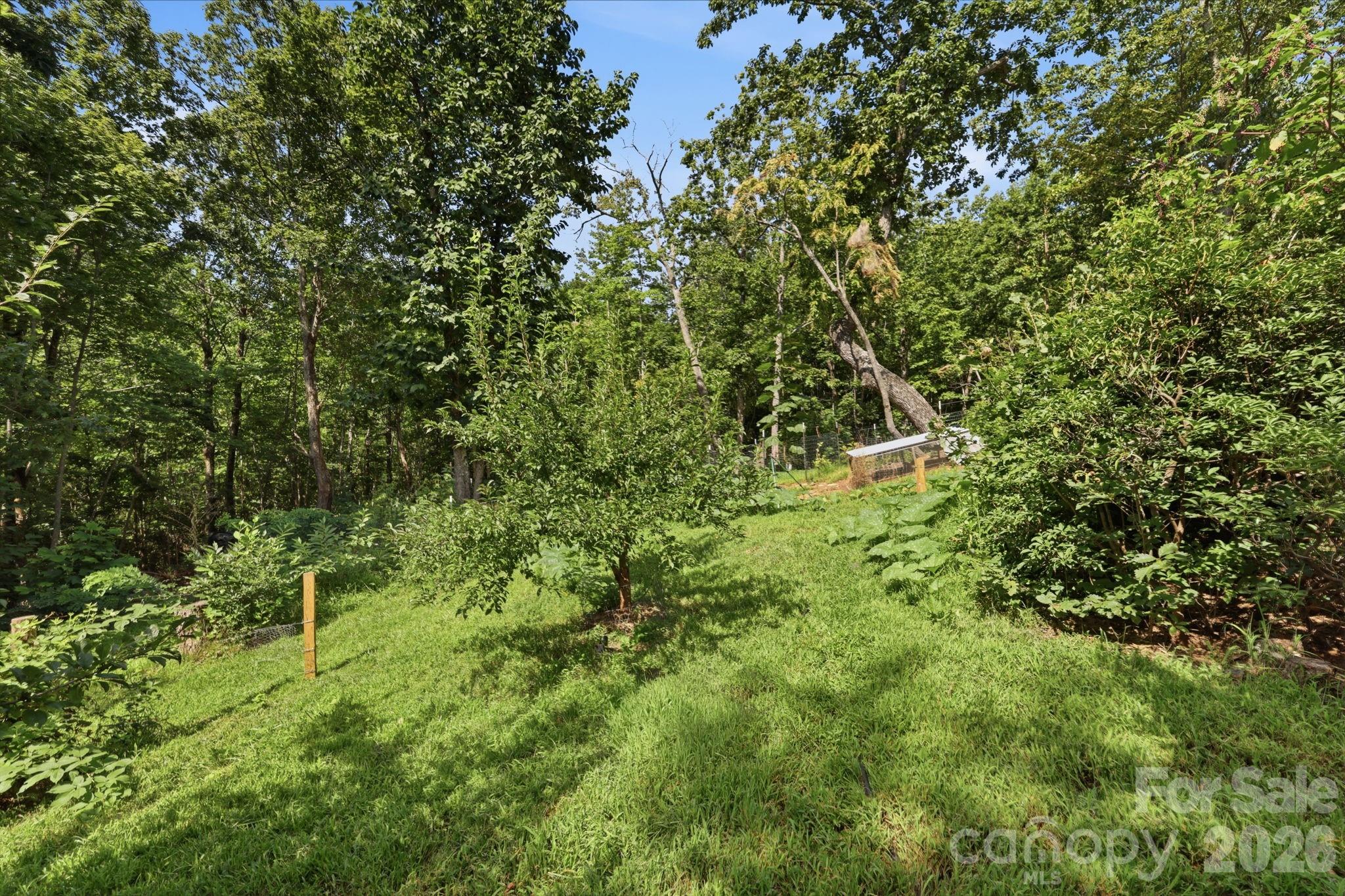 464 Mason Road Property Photo 42