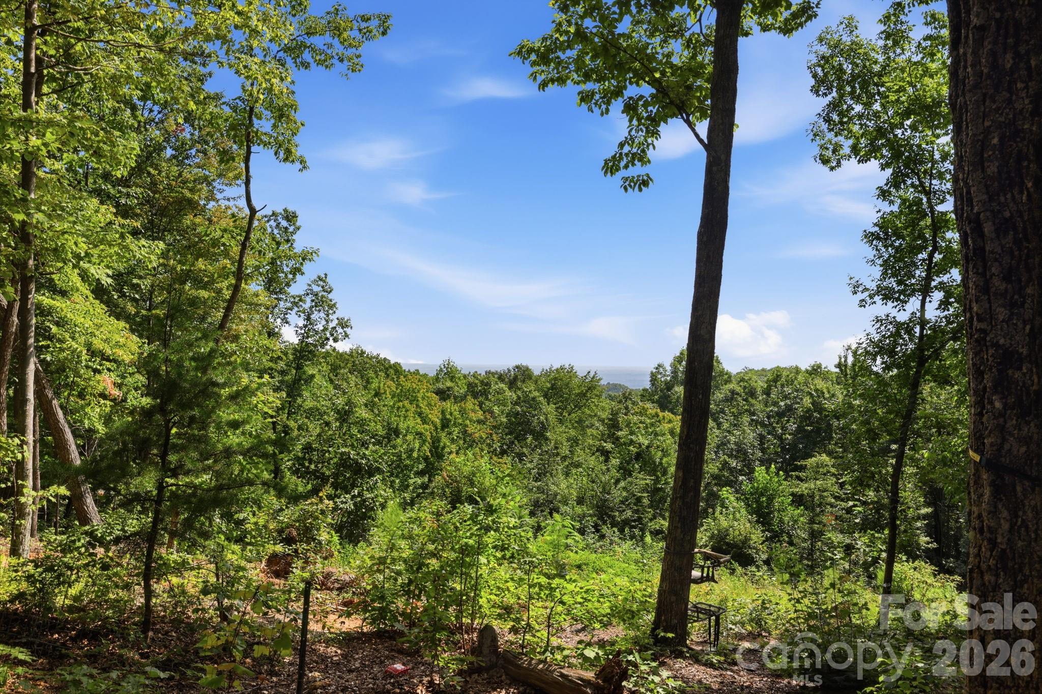 464 Mason Road Property Photo 46