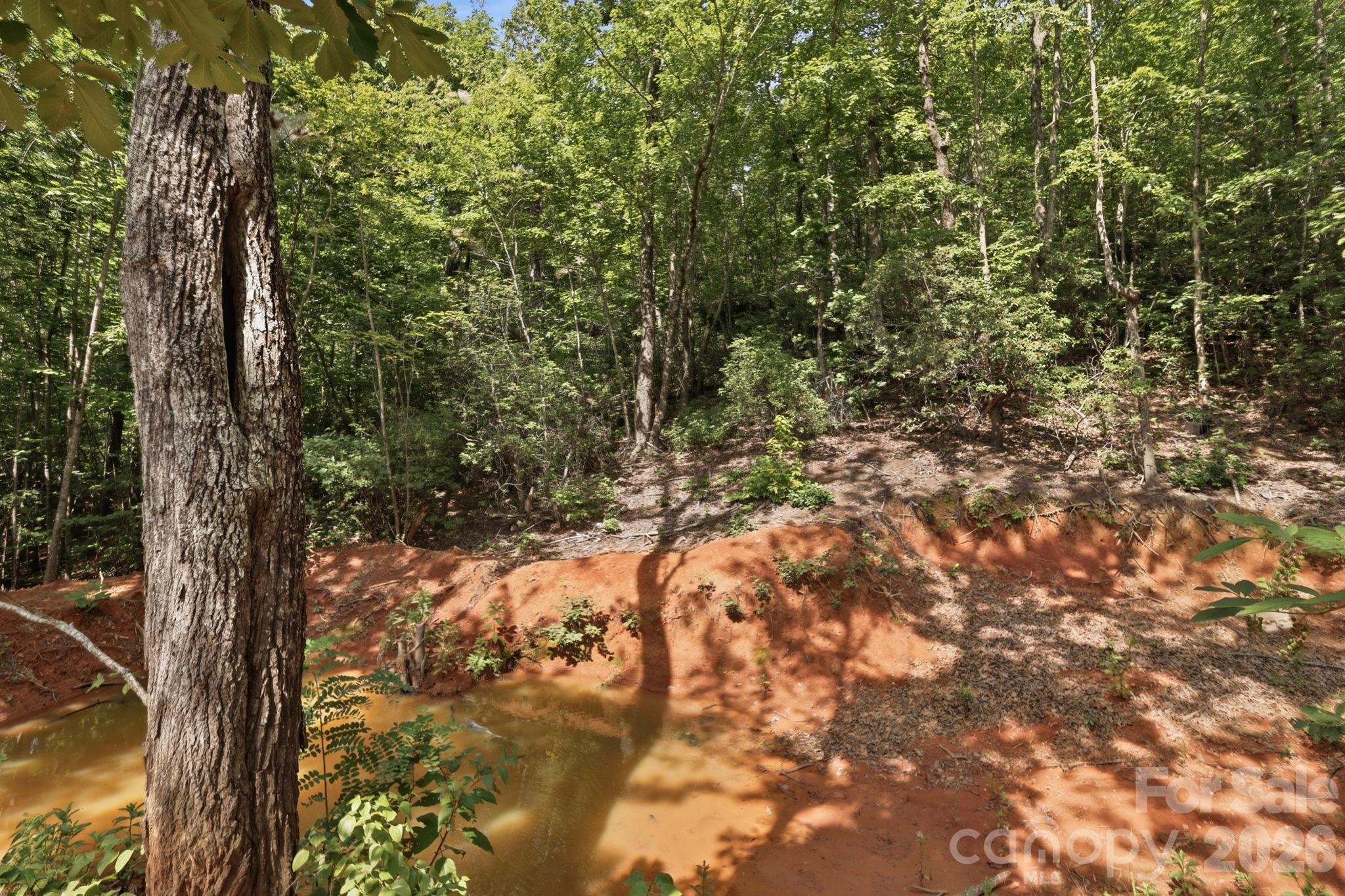 464 Mason Road Property Photo 48