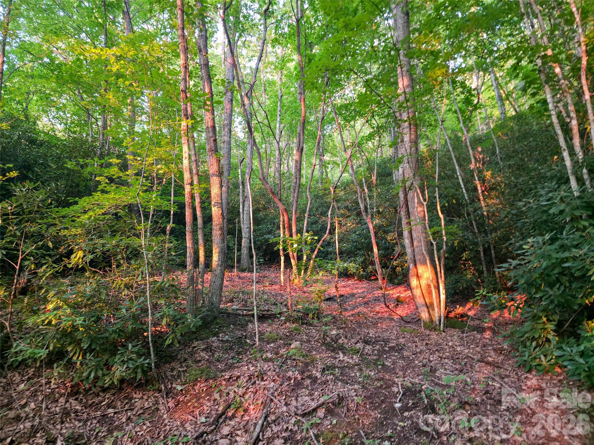 B1-b4 Anglers Ridge Property Photo 5