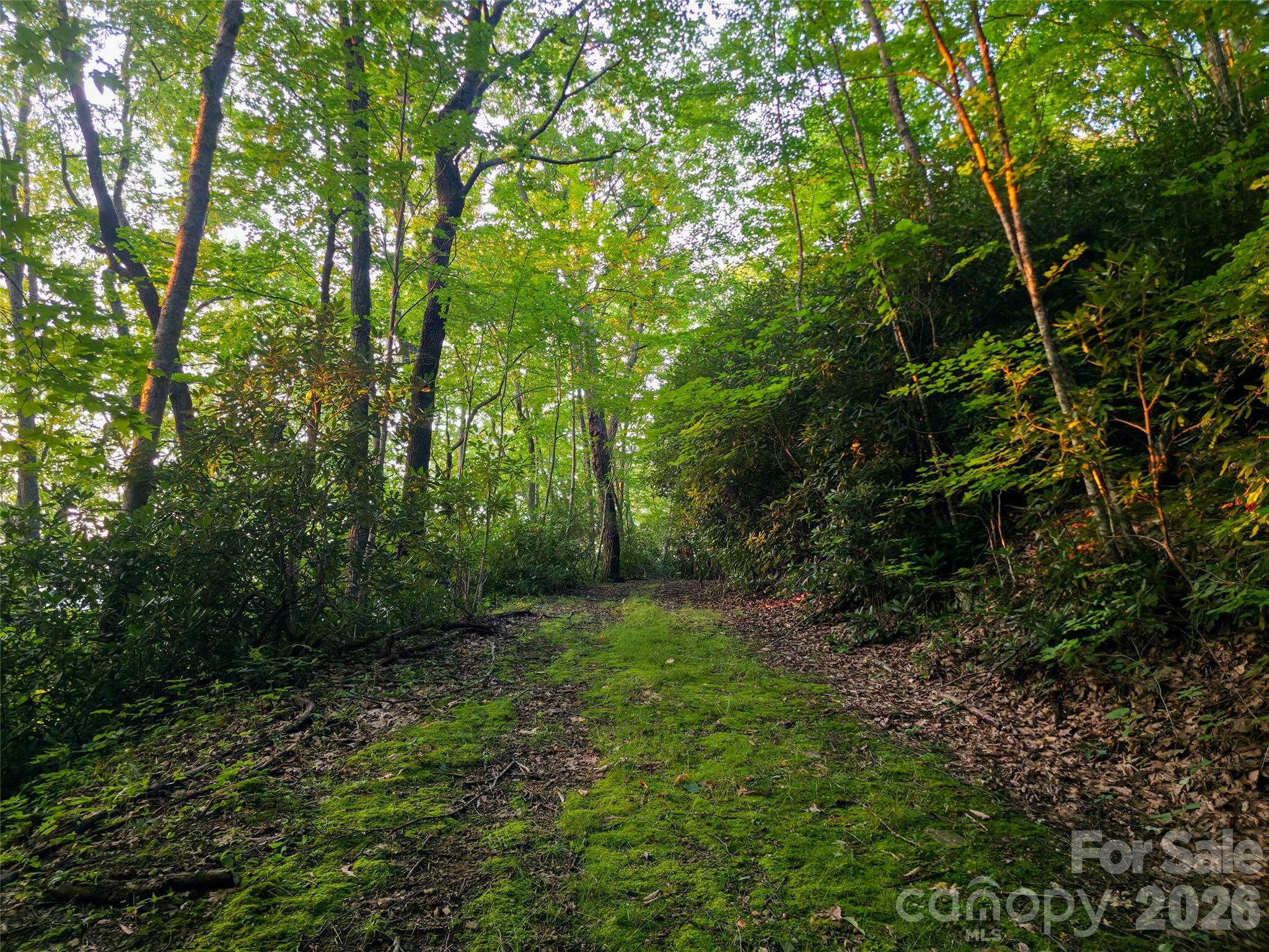 B1-b4 Anglers Ridge Property Photo 6