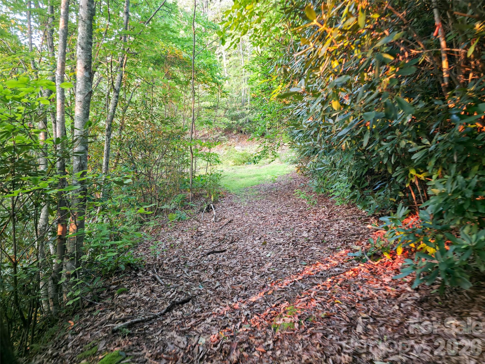B1-b4 Anglers Ridge Property Photo 8