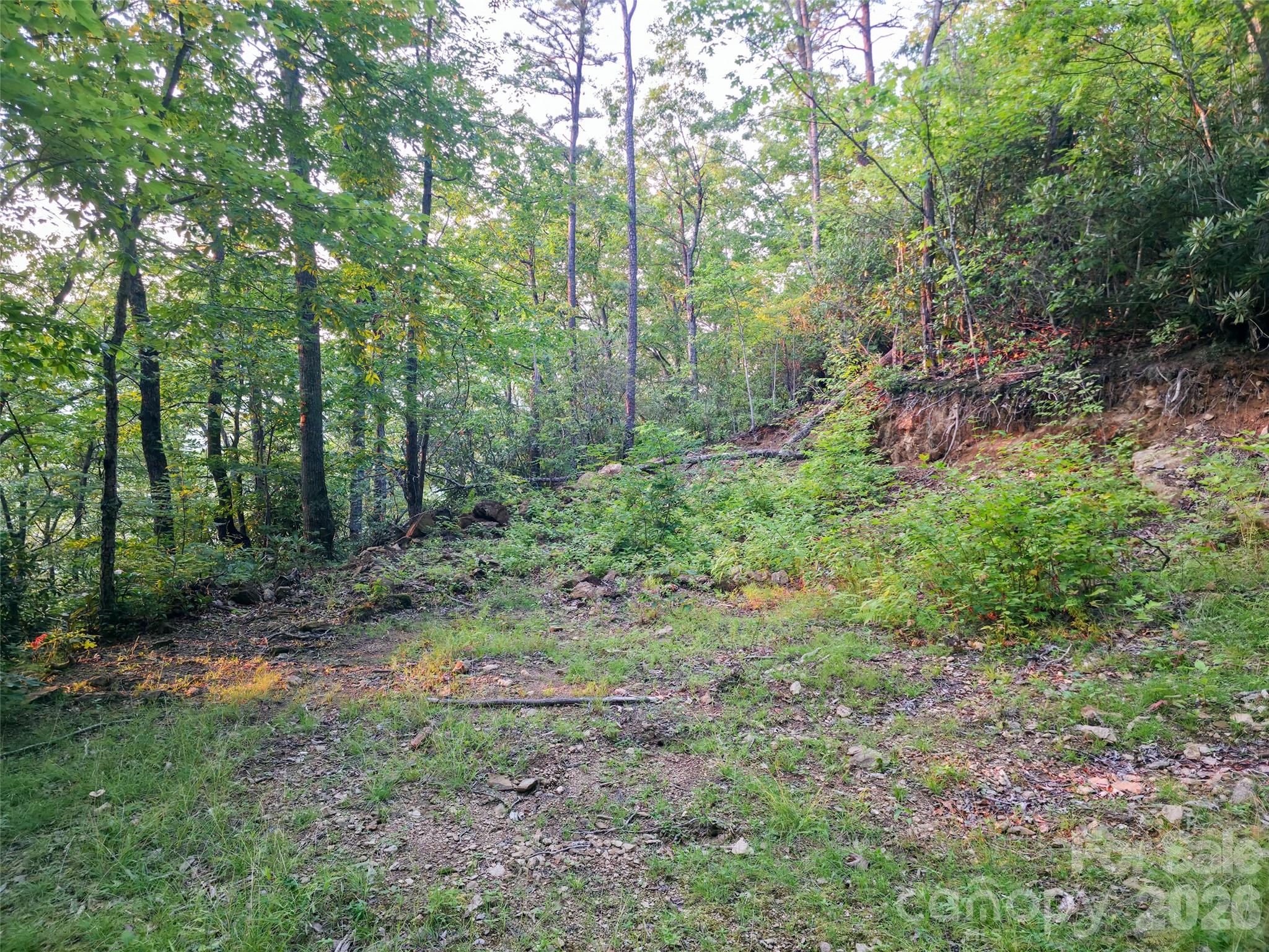 B1-b4 Anglers Ridge Property Photo 9