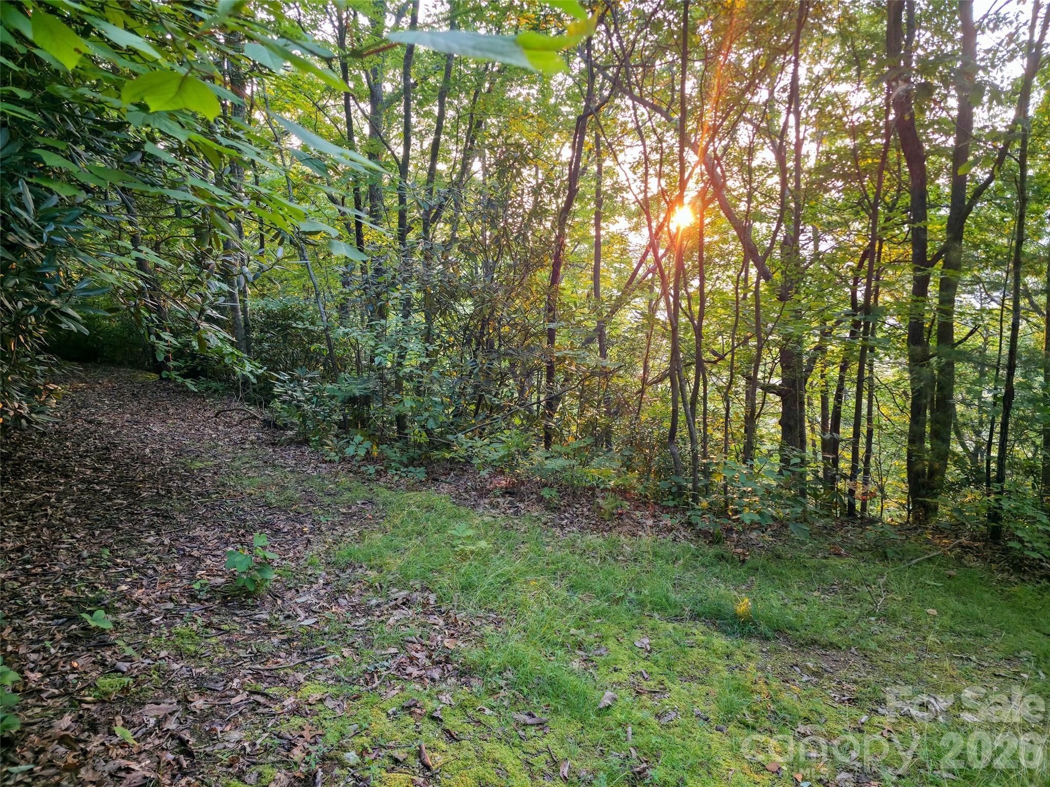 B1-b4 Anglers Ridge Property Photo 10
