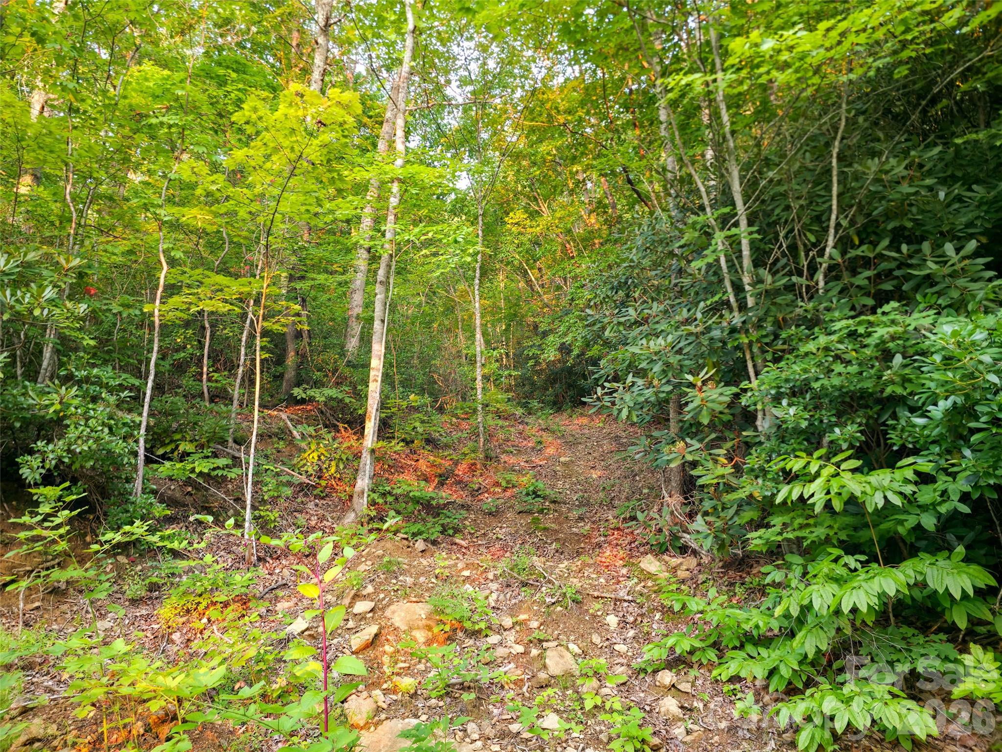 B1-b4 Anglers Ridge Property Photo 11