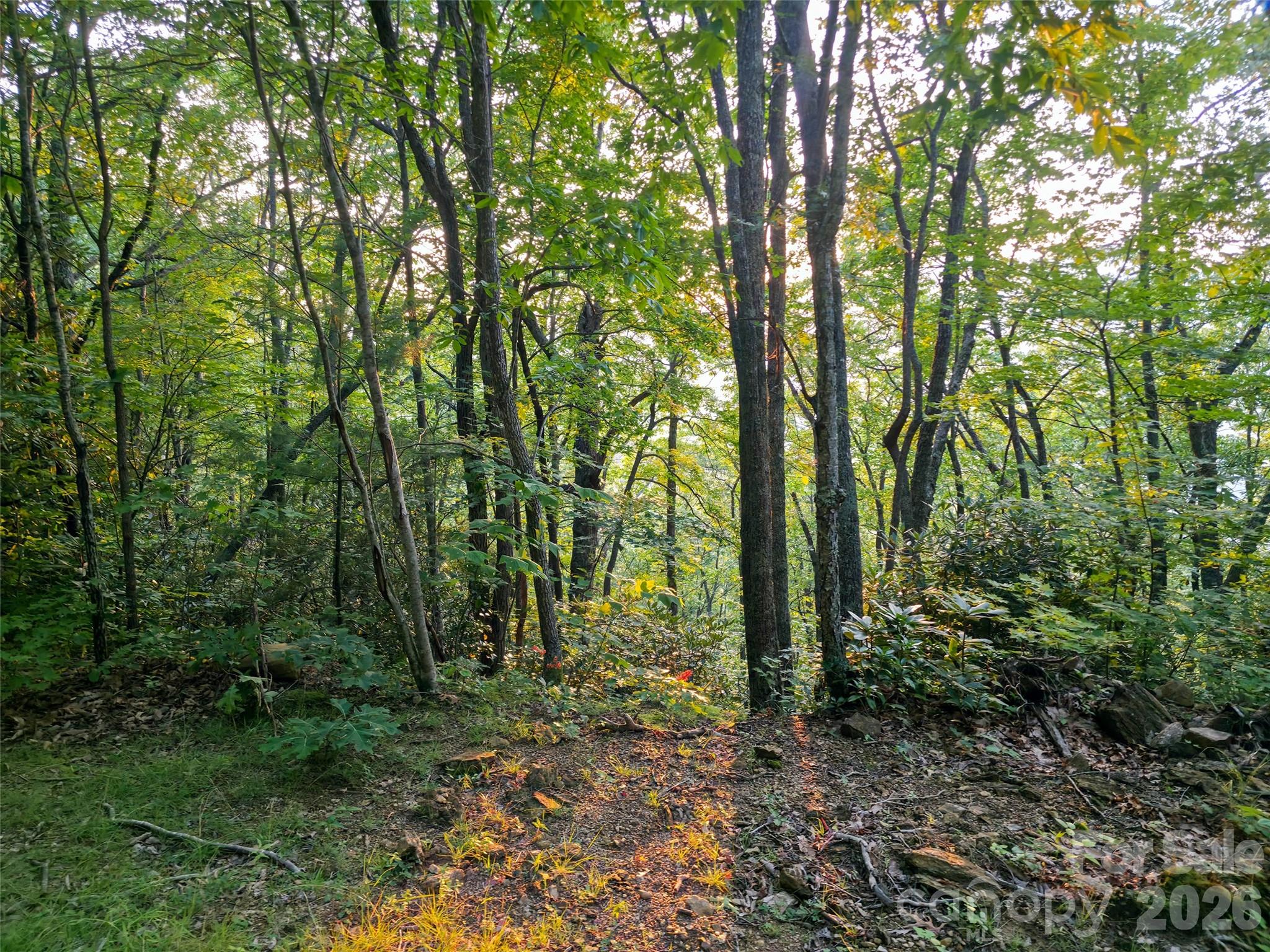 B1-b4 Anglers Ridge Property Photo 12