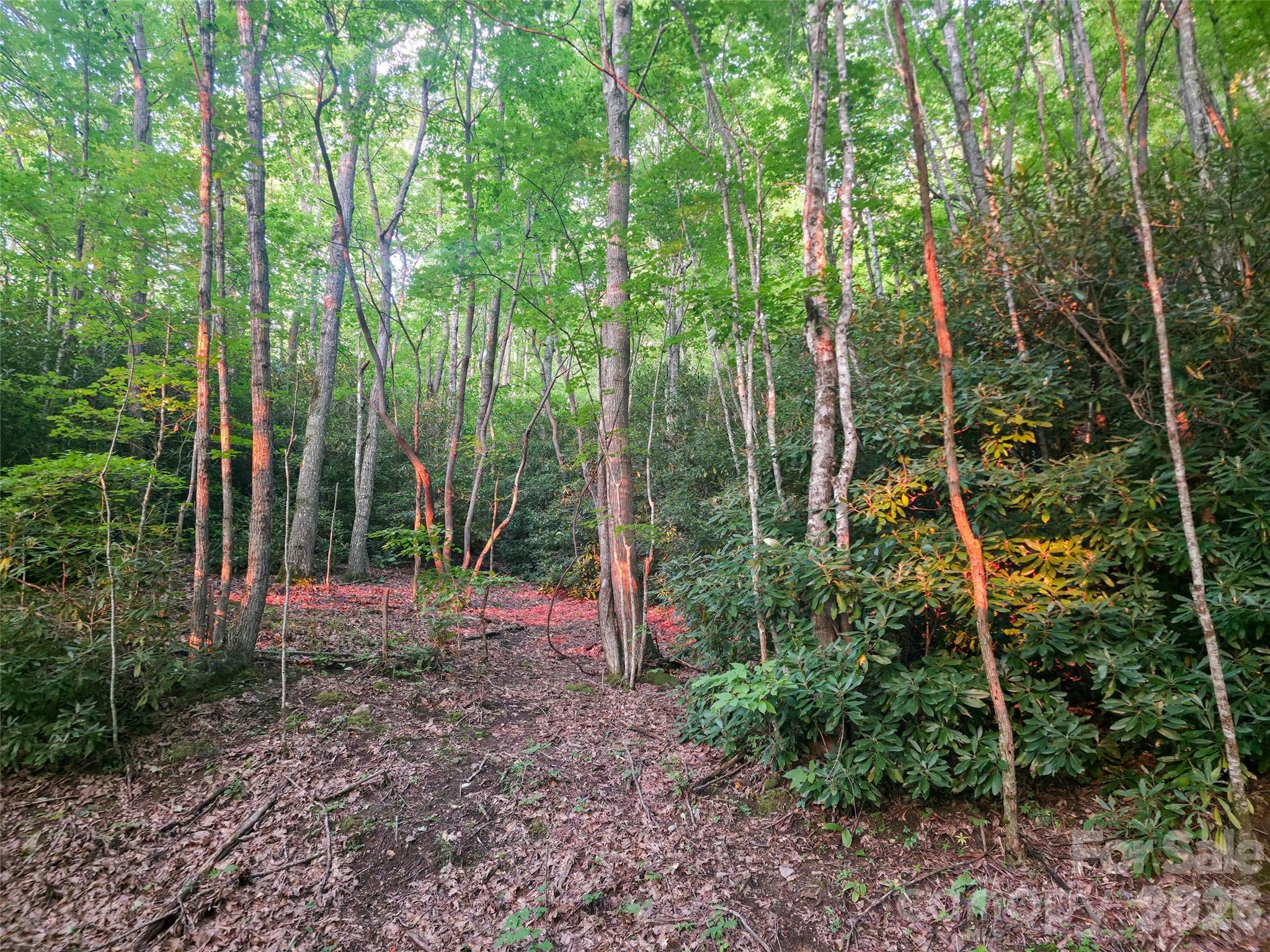 B1-b4 Anglers Ridge Property Photo 14