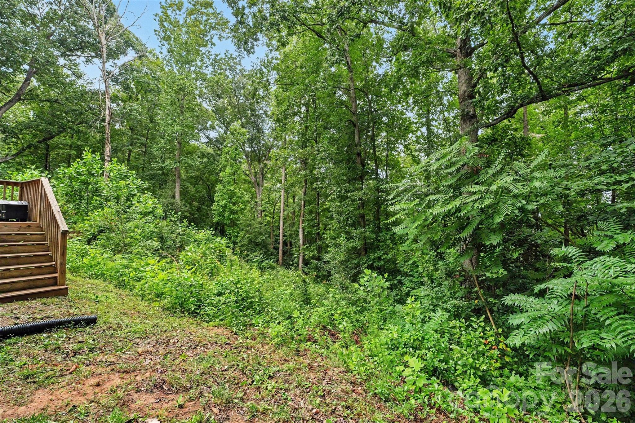 2998 Wilderness Trace Property Photo 24