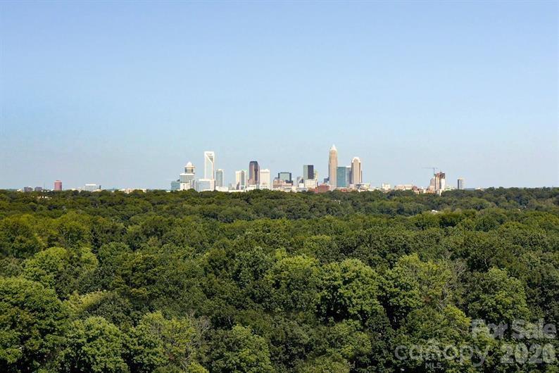 6152 Bridle Creek Drive Property Photo 17