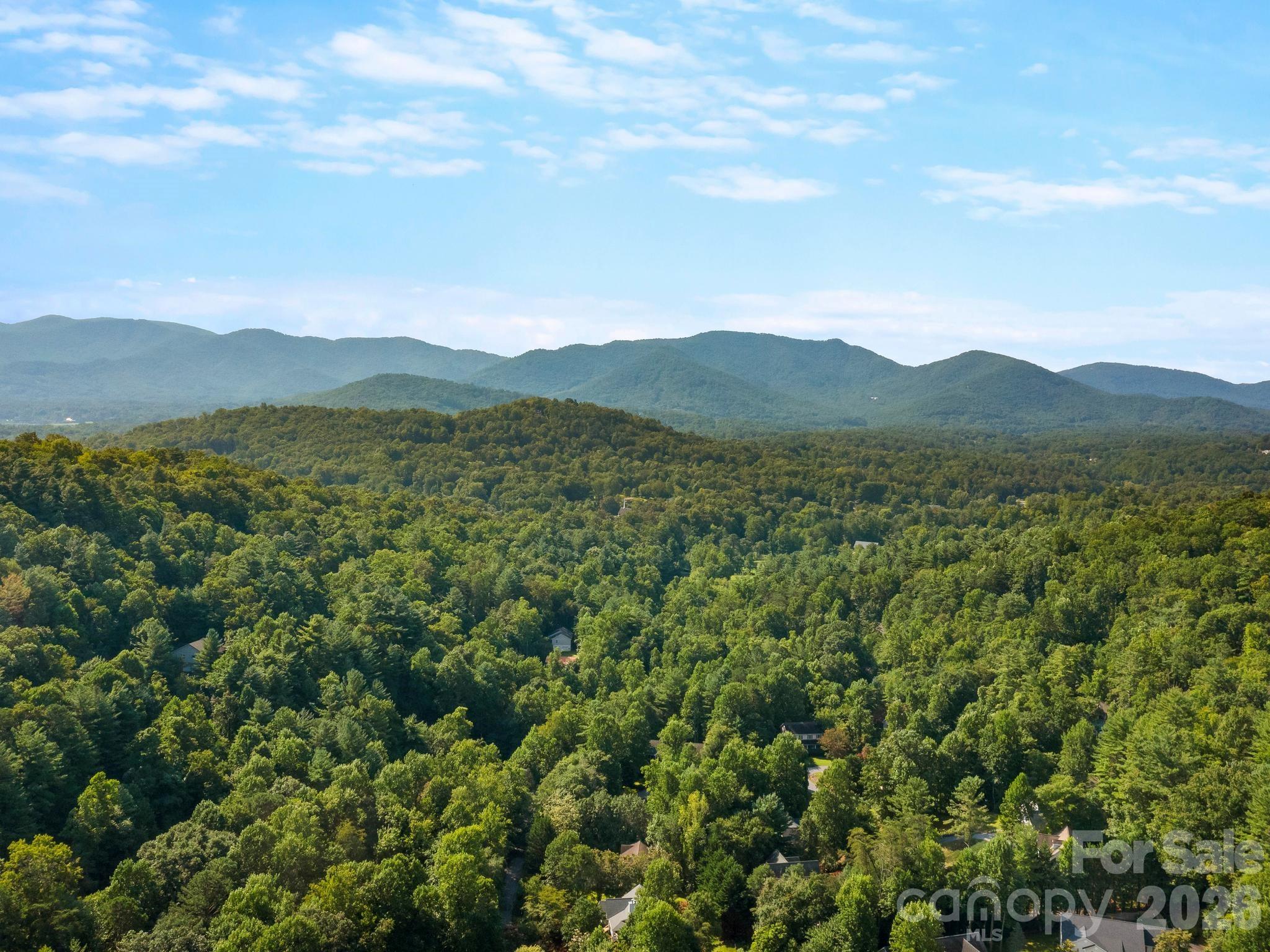 306 Golden Hawk Trail Property Photo 39