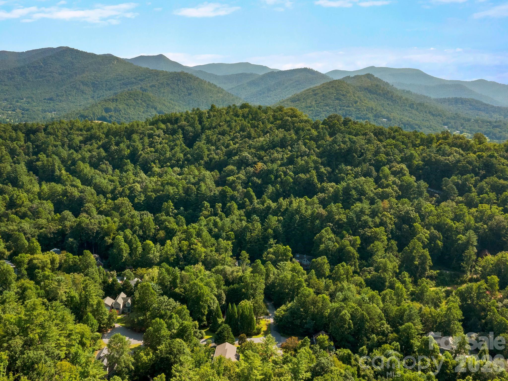 306 Golden Hawk Trail Property Photo 40