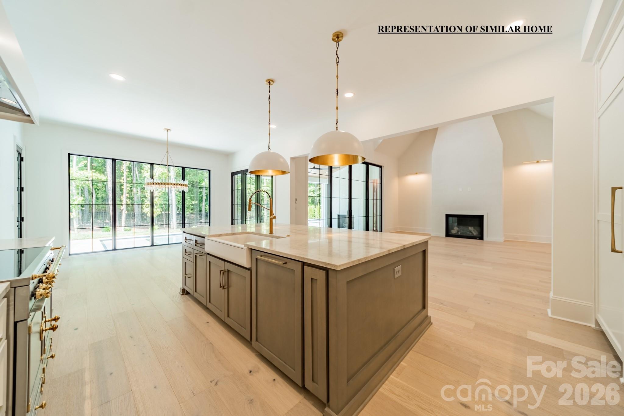 508 Deodar Cedar Drive Property Photo 3