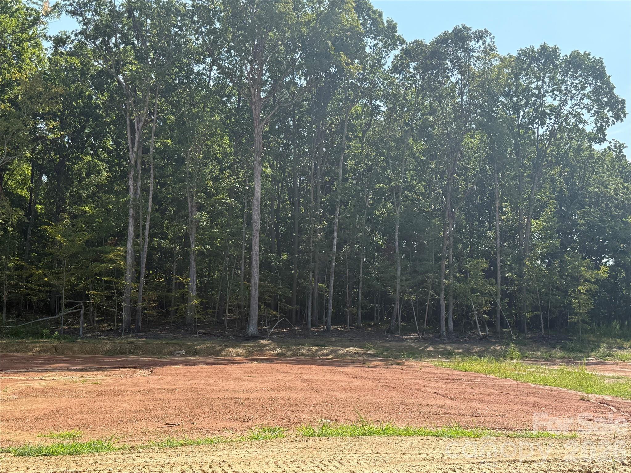 508 Deodar Cedar Drive Property Photo 9