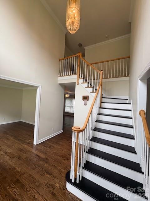 3119 Castlemaine Drive Property Photo 7