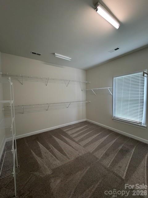 3119 Castlemaine Drive Property Photo 32
