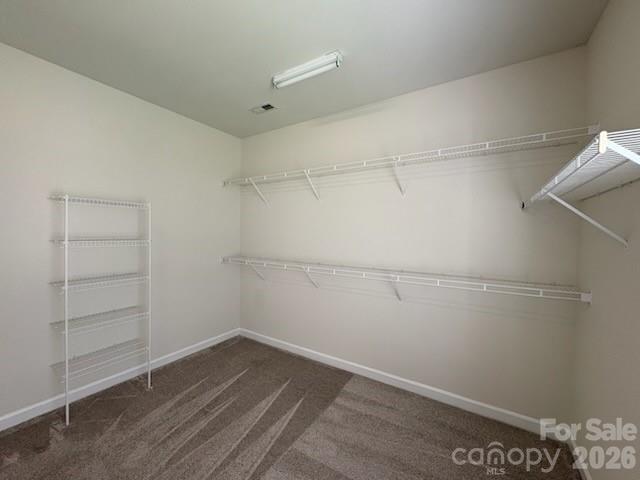 3119 Castlemaine Drive Property Photo 33