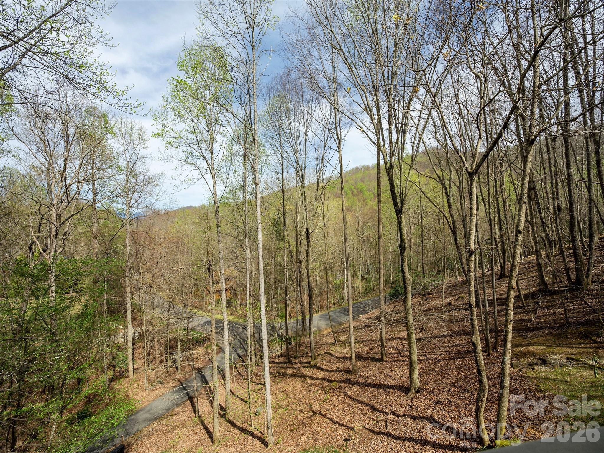 417 Blue Mist Way Property Photo 7