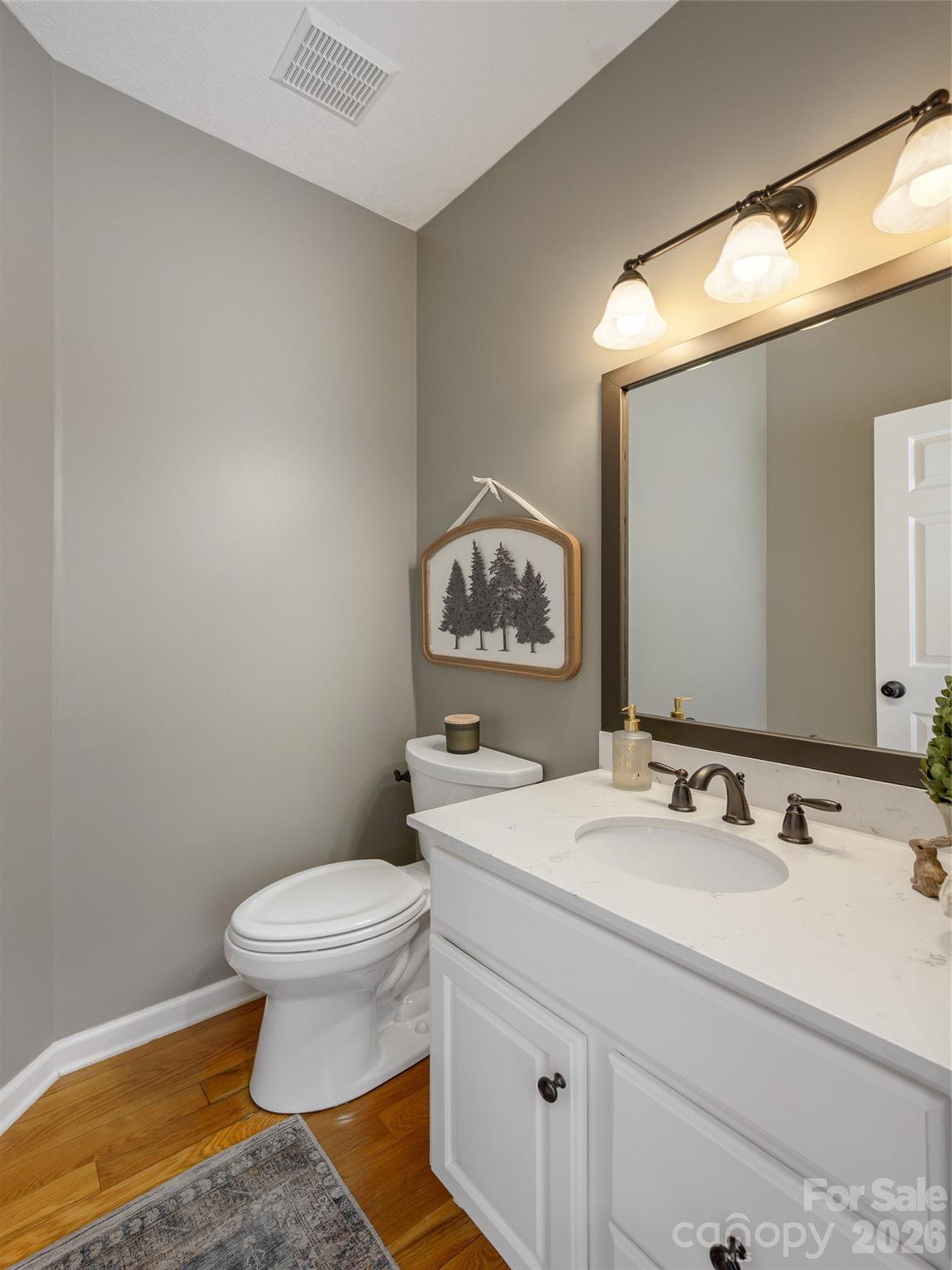 417 Blue Mist Way Property Photo 23