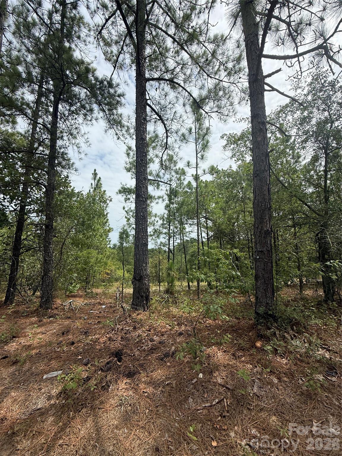 Tbd Sheridan Oliver Road Property Photo 1