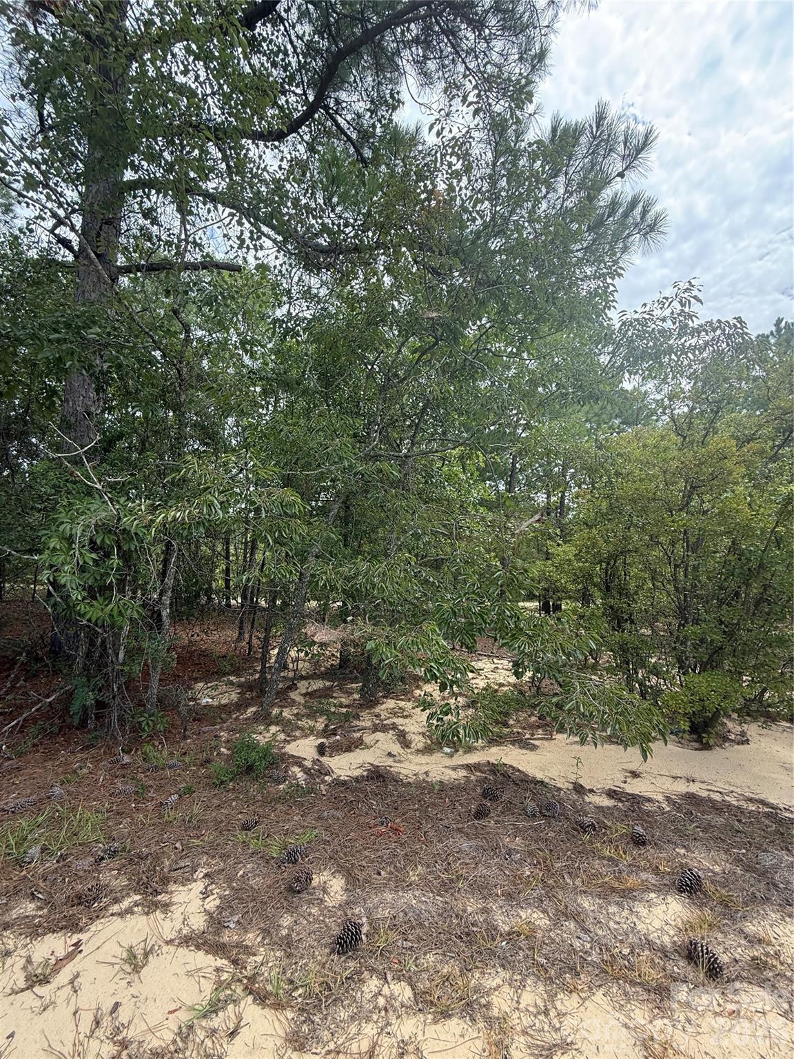 Tbd Sheridan Oliver Road Property Photo 4