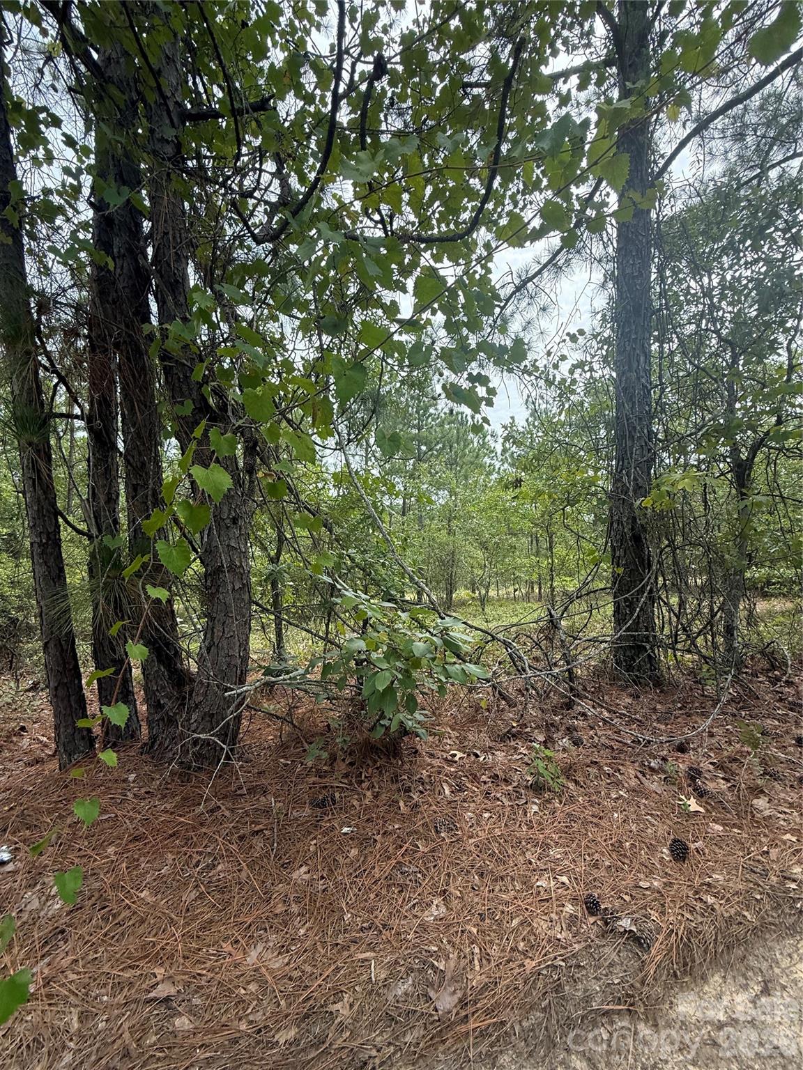 Tbd Sheridan Oliver Road Property Photo 5