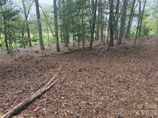 0 Eagle Point Property Photo 2