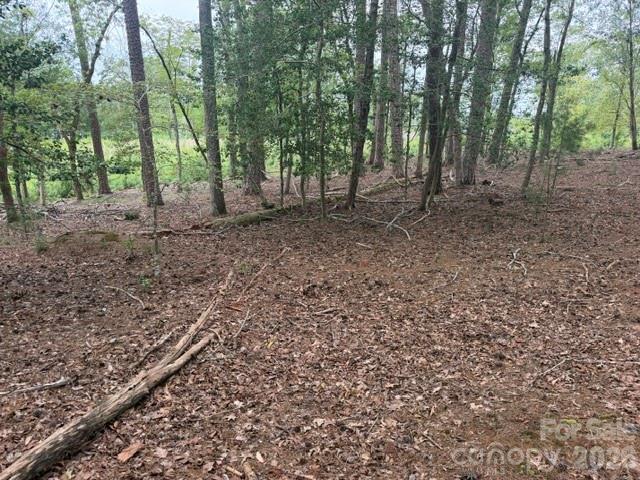 0 Eagle Point Property Photo 3
