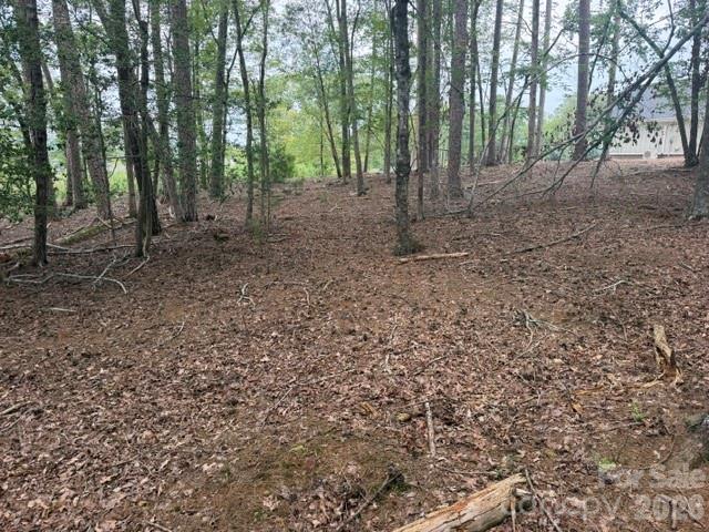 0 Eagle Point Property Photo 4