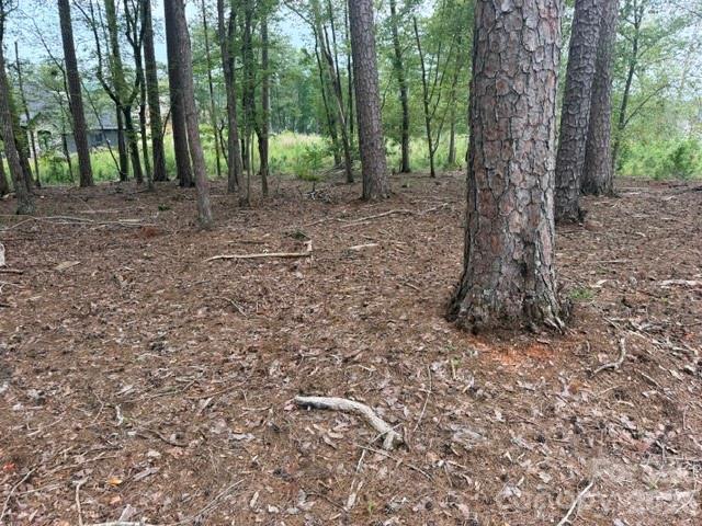 0 Eagle Point Property Photo 5