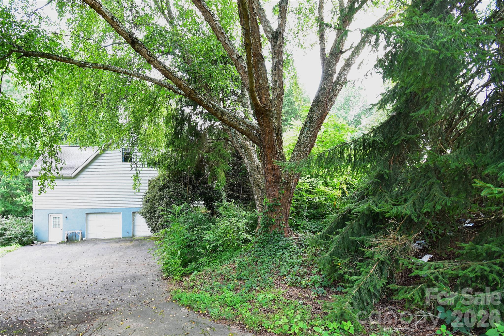 36 Cardinal Lane Property Photo 43