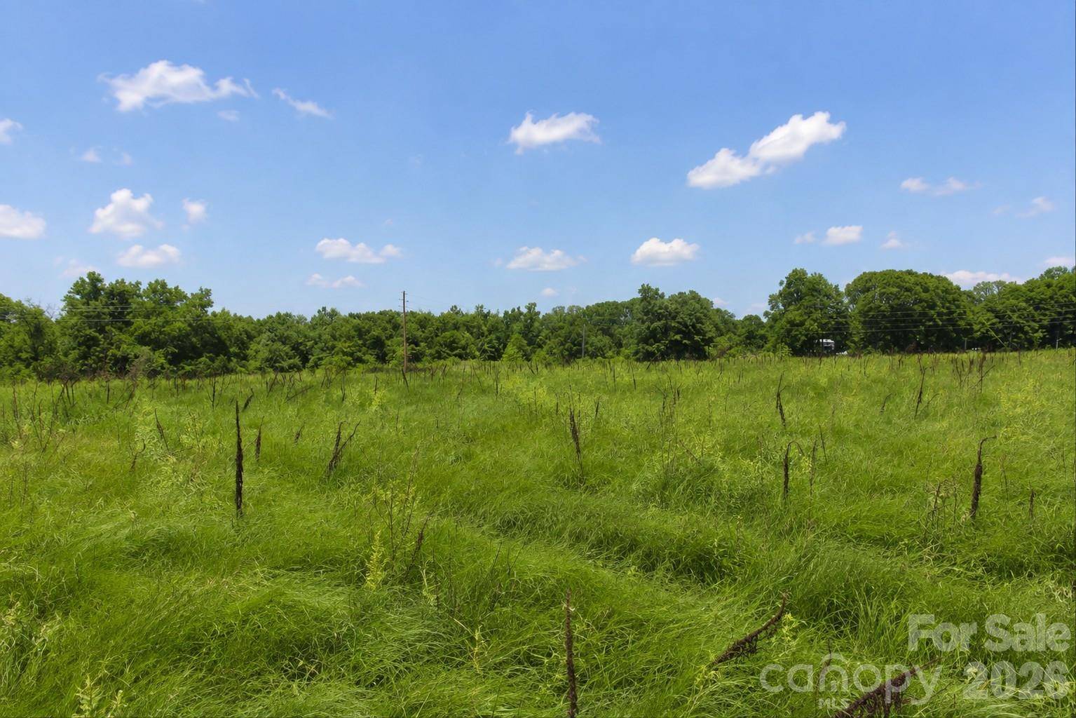 2.95+/-ac Neal Road Lot 13 Property Photo