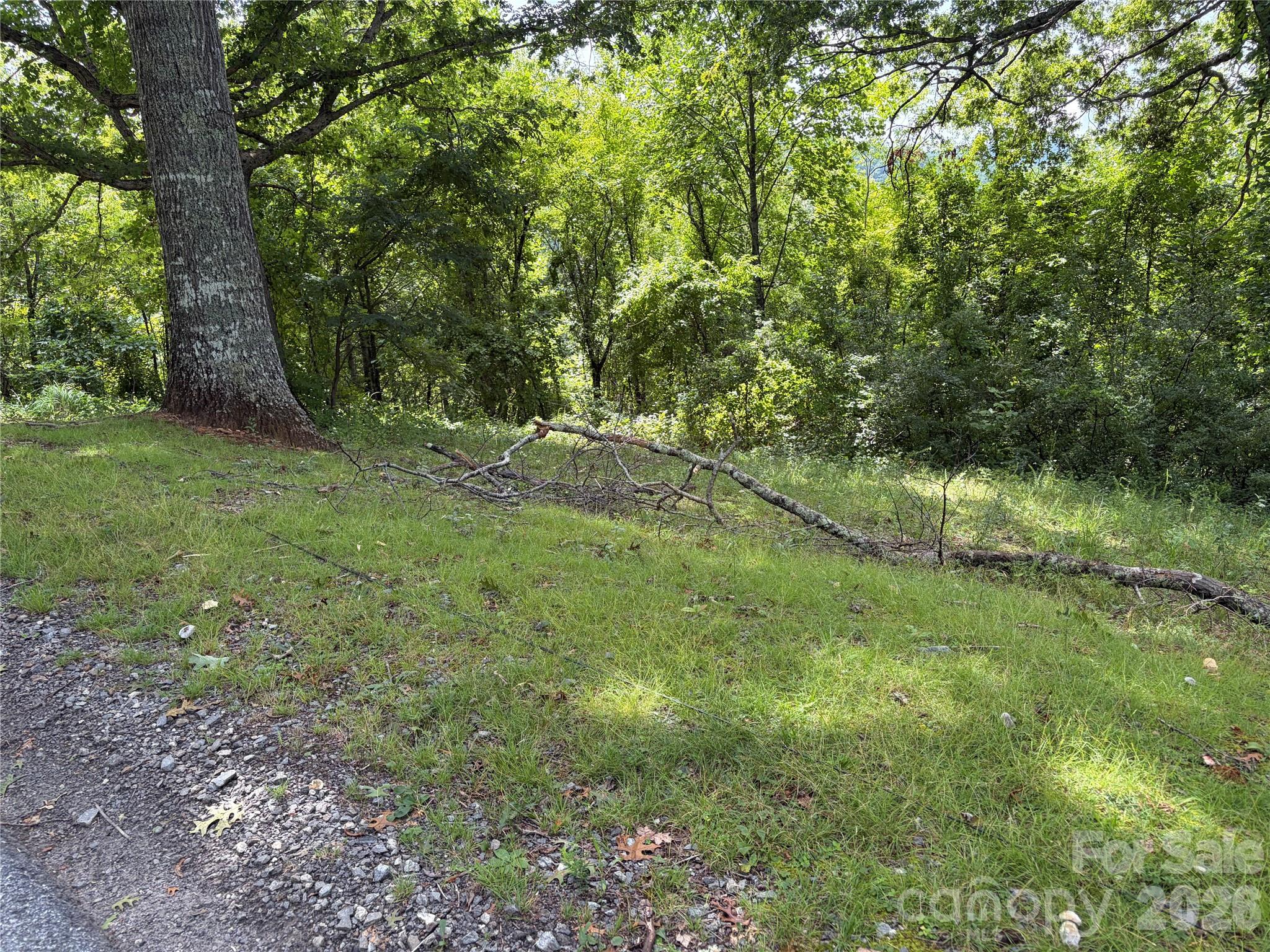 61 Sugar Maple Drive Property Photo 1